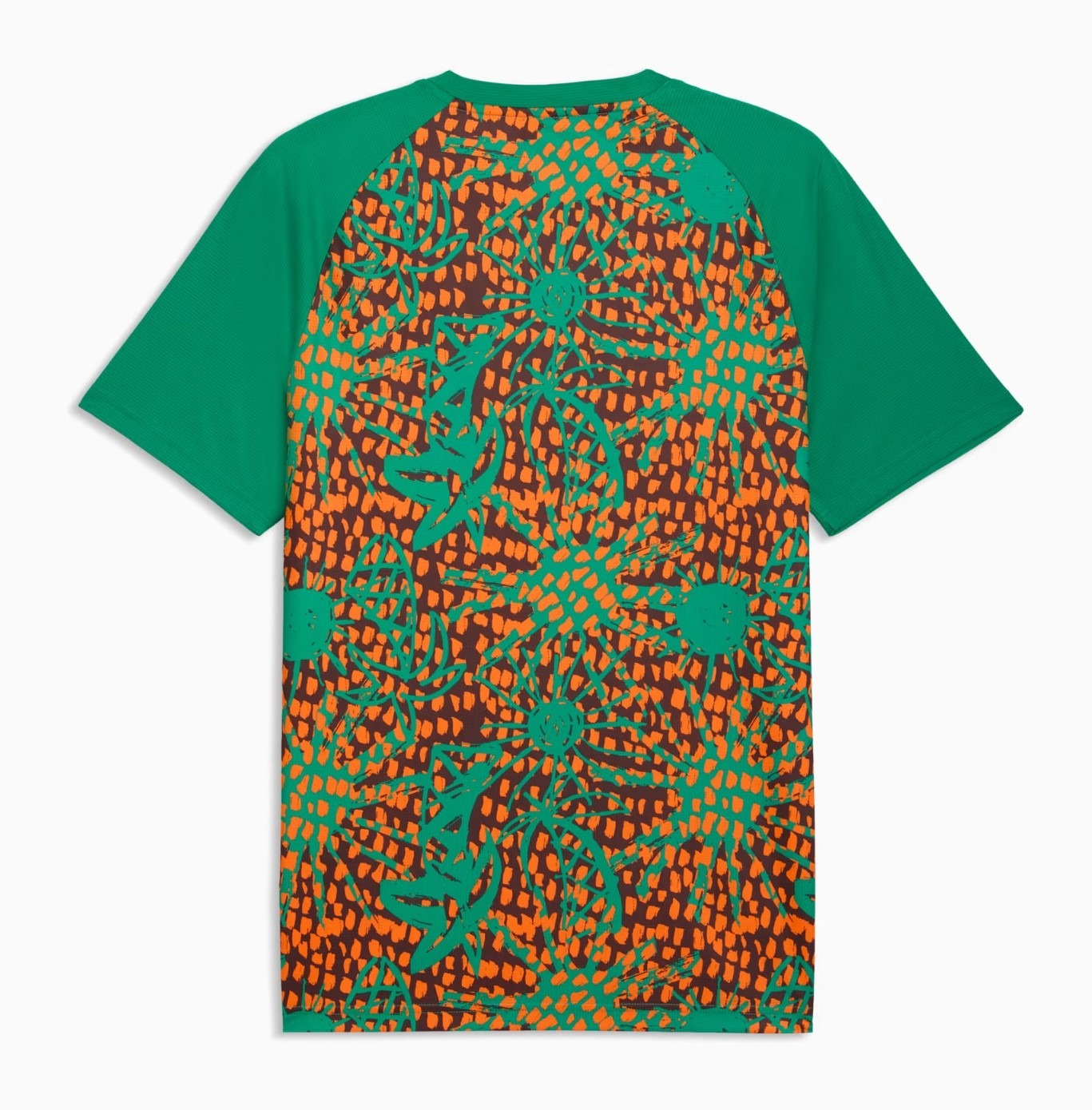 ivory-coast-2026-pre-match-shirt (1)